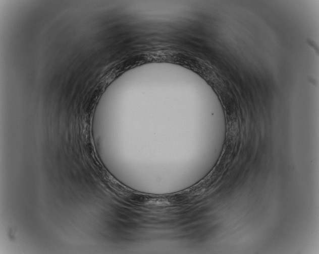 X0000091650749200708231010