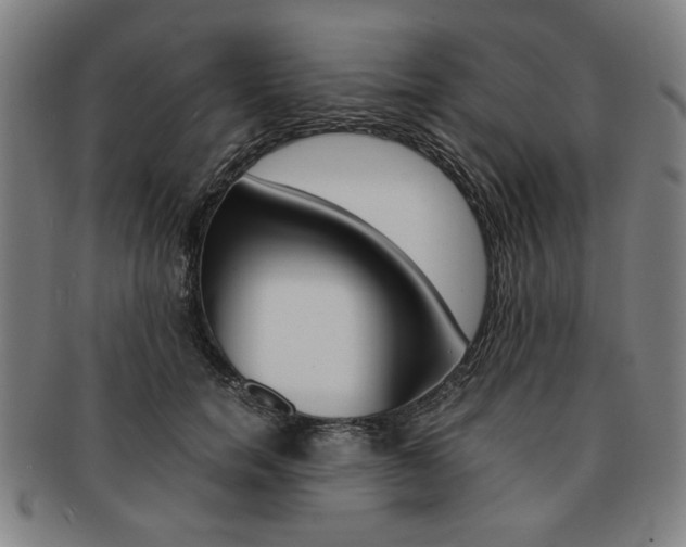 X0000091650750200708231010
