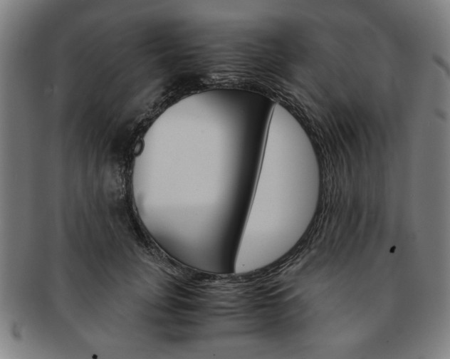 X0000091650751200708231010