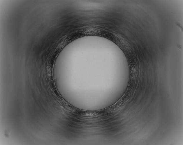 X0000091650753200708231010