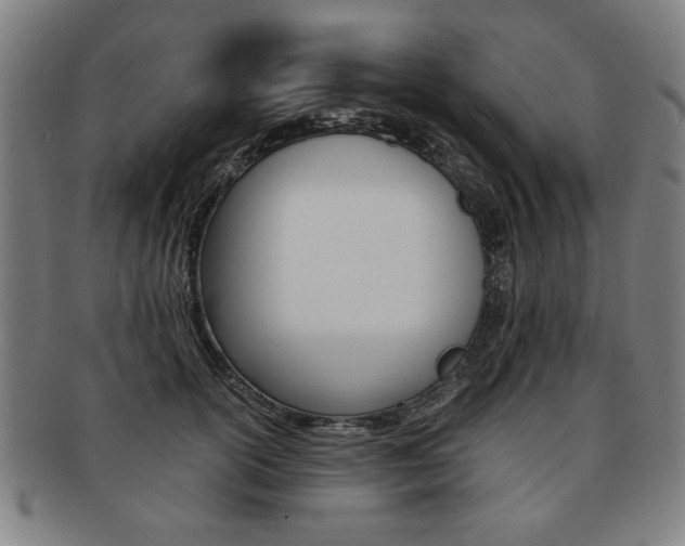 X0000091650754200708231010
