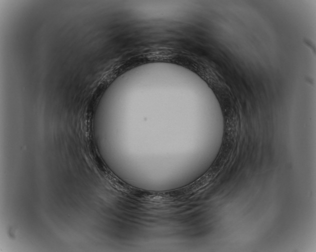 X0000091650755200708231010