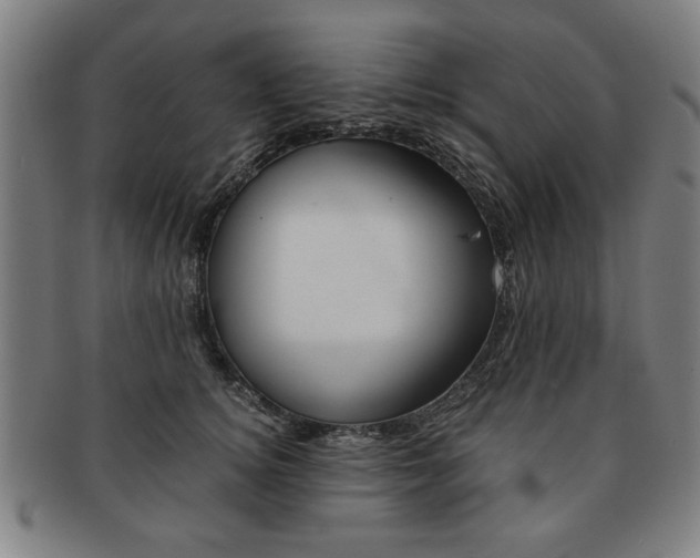 X0000091650756200708231010