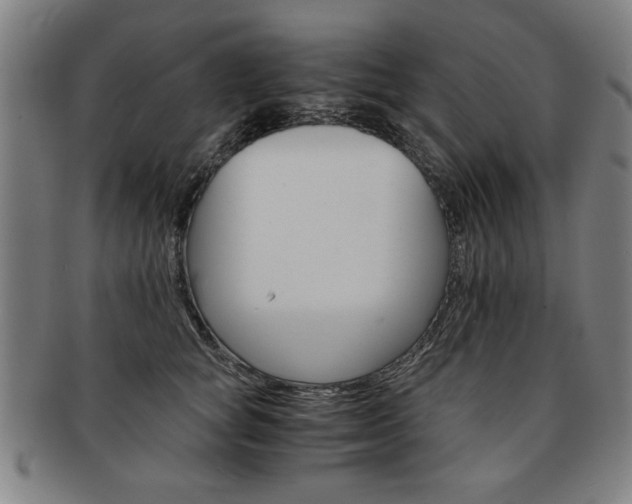 X0000091650757200708231010