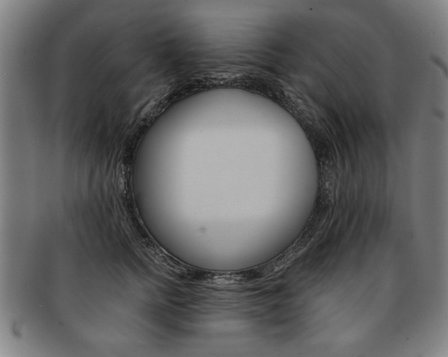 X0000091650758200708231010
