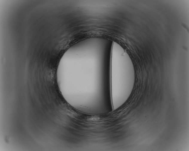 X0000091650759200708231010