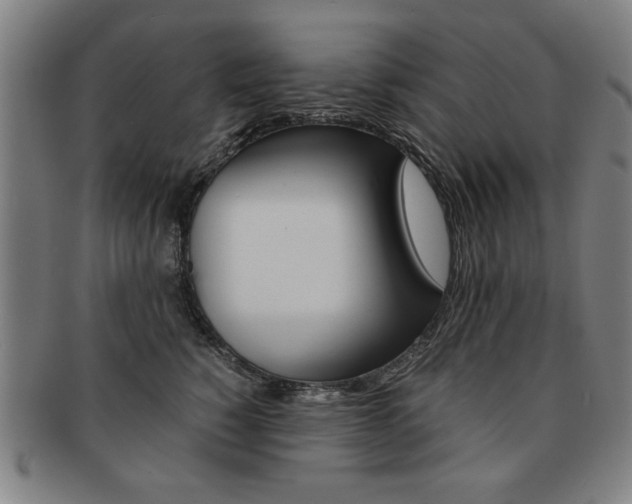 X0000091650760200708231010