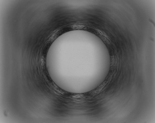 X0000091650761200708231010