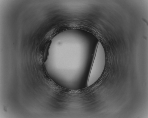 X0000091650762200708231010