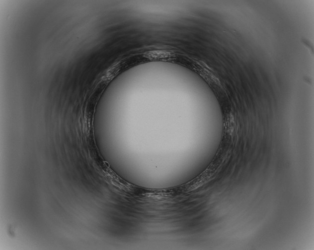X0000091650763200708231010