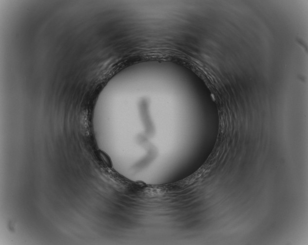 X0000091650764200708231010