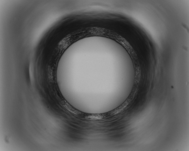 X0000091650765200708231010