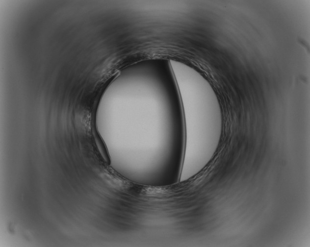 X0000091650766200708231010