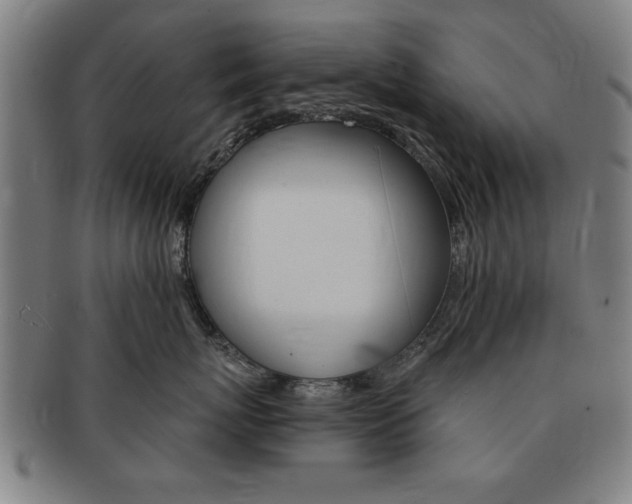 X0000091650767200708231010