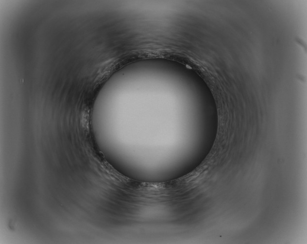 X0000091650768200708231010