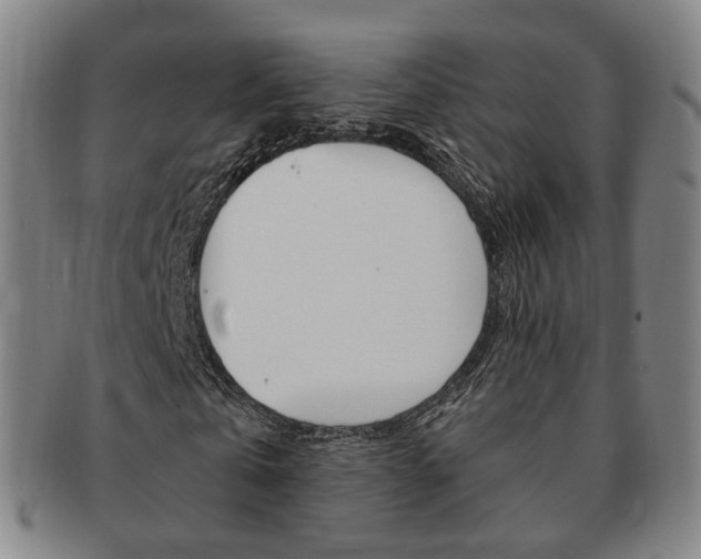 X0000091650769200708231009