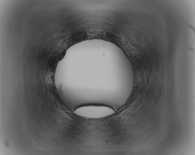 X0000091650770200708231009