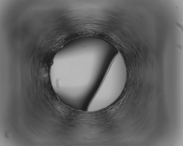 X0000091650771200708231009