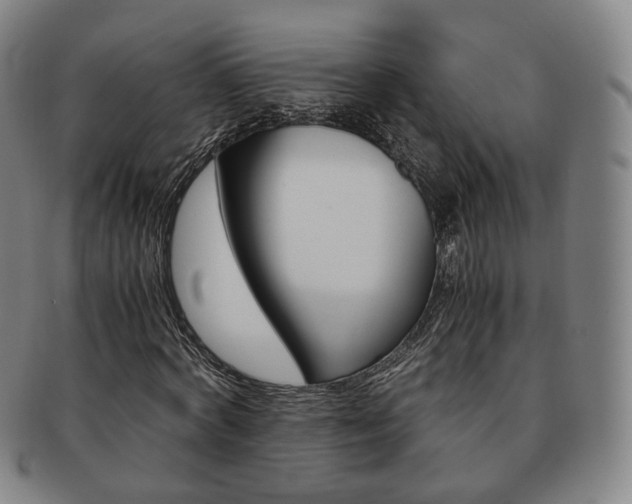 X0000091650772200708231009