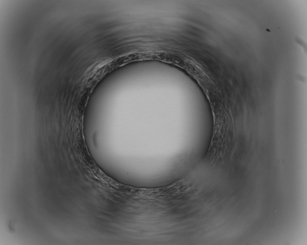 X0000091650773200708231009