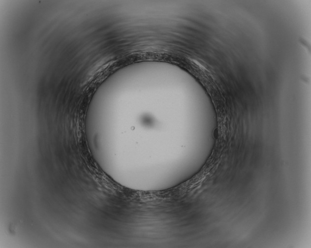 X0000091650774200708231009