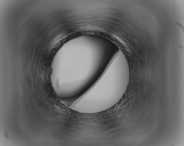 X0000091650775200708231009