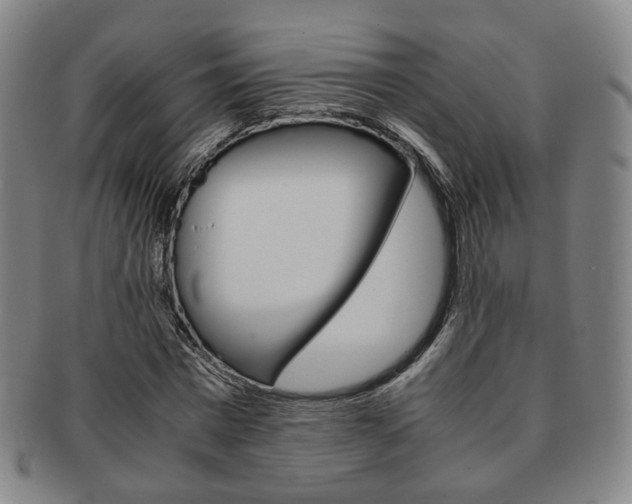 X0000091650777200708231009