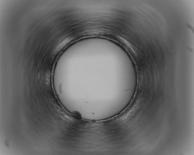X0000091650778200708231009
