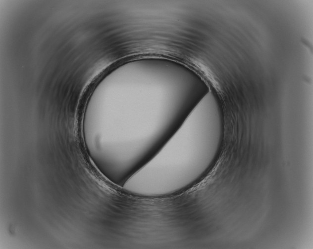 X0000091650780200708231009
