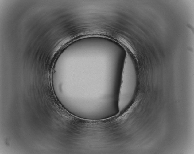 X0000091650781200708231009