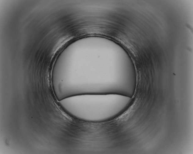 X0000091650782200708231009
