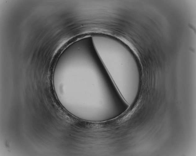 X0000091650783200708231009