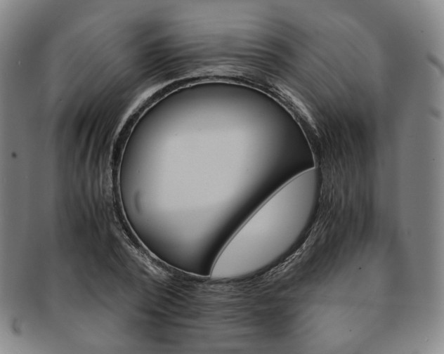 X0000091650784200708231009