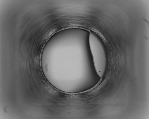 X0000091650785200708231009