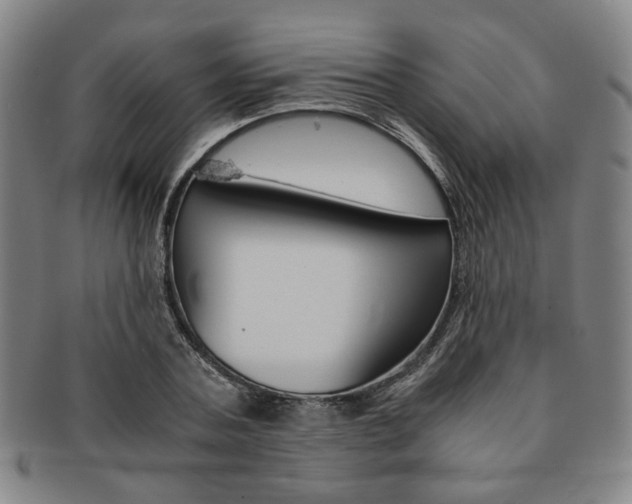 X0000091650787200708231009