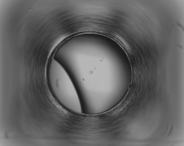X0000091650788200708231009