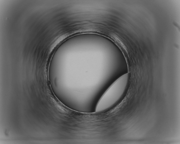 X0000091650789200708231009