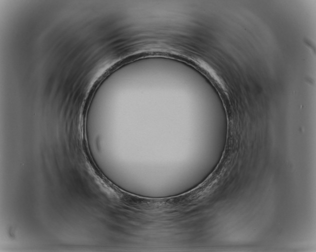 X0000091650791200708231009
