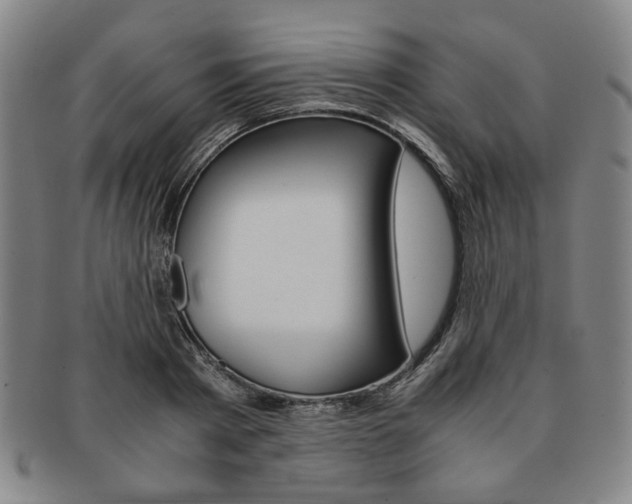 X0000091650793200708231009