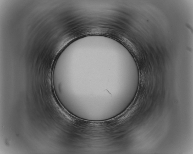 X0000091650794200708231009