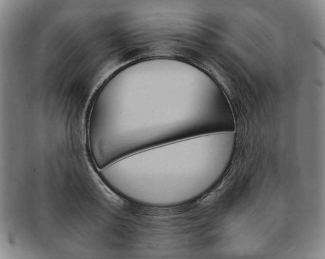 X0000091650795200708231009