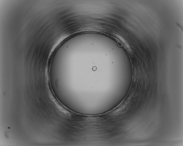 X0000091650796200708231009