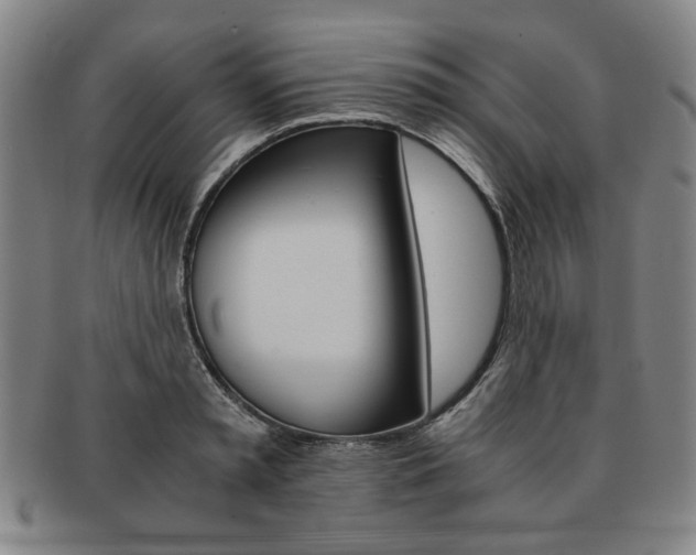 X0000091650797200708231009
