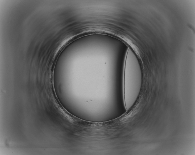 X0000091650799200708231009