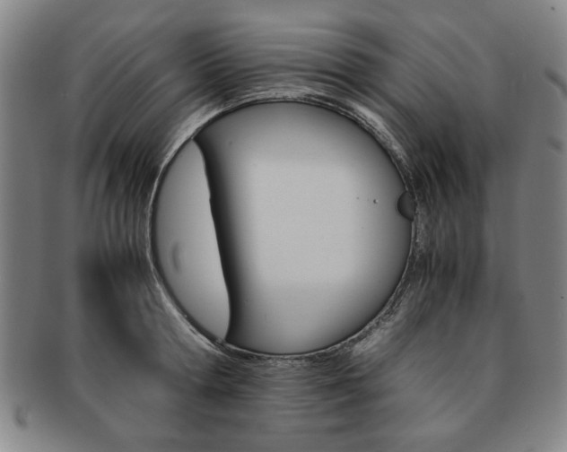 X0000091650802200708231009