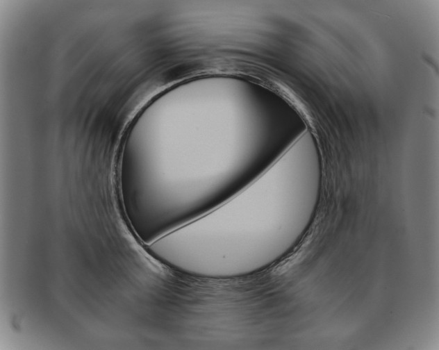 X0000091650803200708231009
