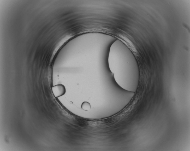 X0000091650804200708231009