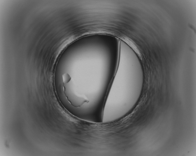X0000091650805200708231009