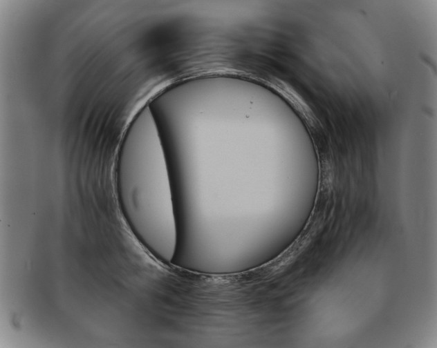X0000091650806200708231009