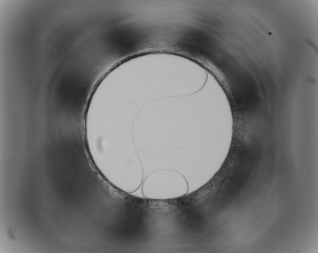 X0000091650807200708231009